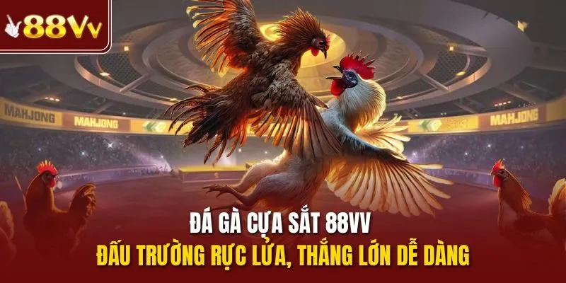Đá gà cựa sắt