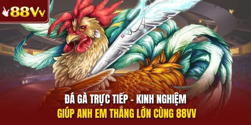 Đá gà trực tiếp