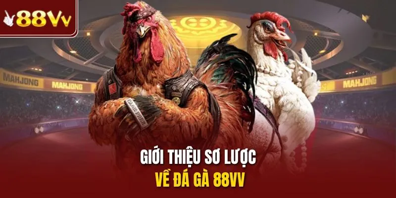 Giới thiệu sơ lược về đá gà 88vv