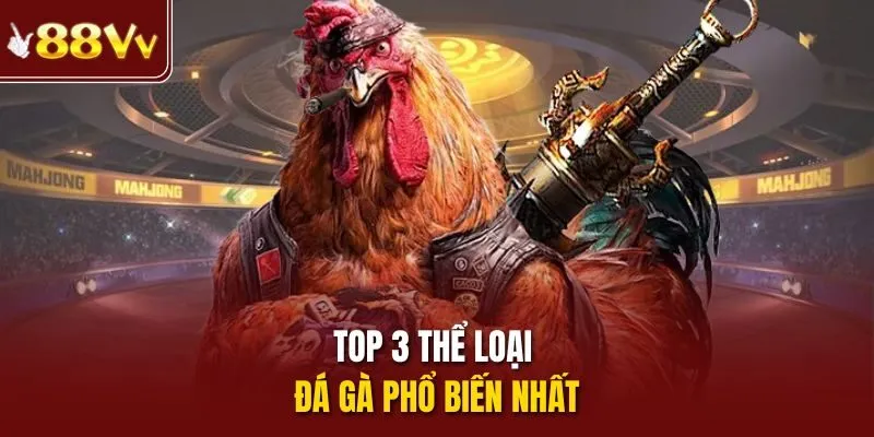 Top 3 thể loại đá gà phổ biến nhất
